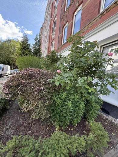 Helle, schöne und gepflegte Altbauwohnung mit Dielenfussboden und Einbauküche – Foto 30