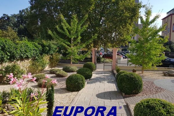 EUPORA® Immobilien: Espacios comerciales en una propiedad histórica en Kirchheimbolanden.
