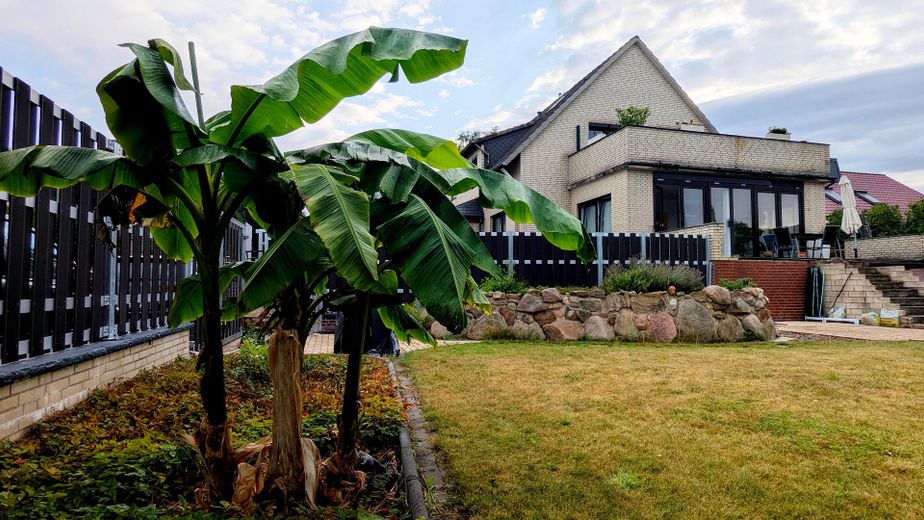 Ohne Makler: Modernisiertes 3-Familienhaus in Bordenau nahe Wald – Hausansicht