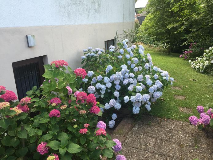 Eingang Gartengeschoss