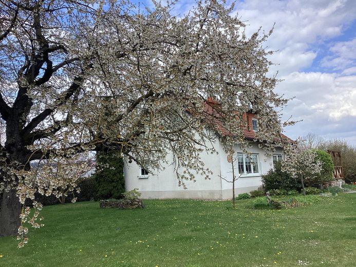 Freistehendes EFH im Landhausstil: weitläufiges Grundstück am Feldrand, Doppelgarage & Carport – Foto 2