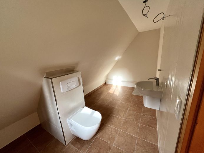 Historisches Forsthaus am Kamm im Erzgebirge – Gäste WC, opt. mit Dusche