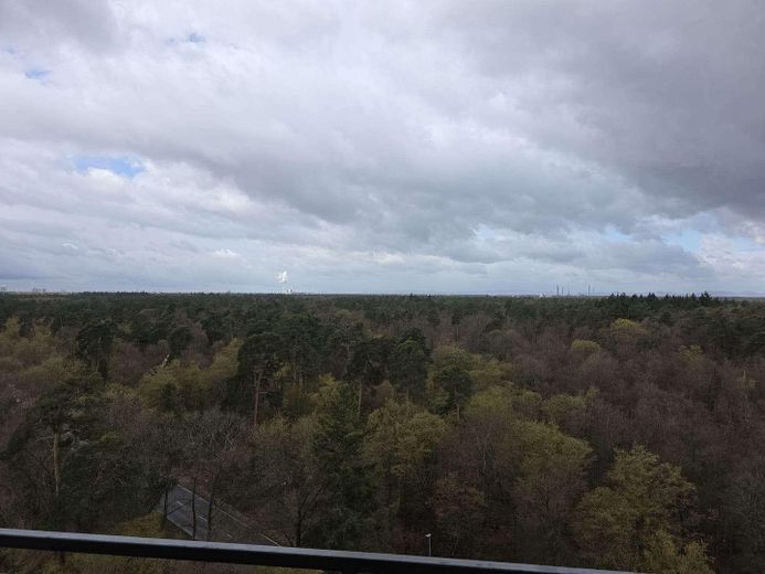 Helle ETW über den Dächern der Waldstadt – फोटो 7