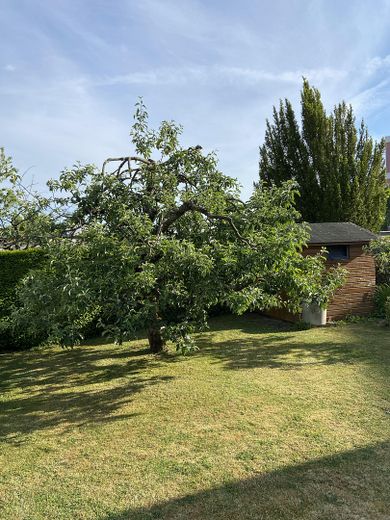 Garten mit Geräteschuppen
