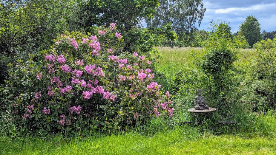 290 m² + 2.464 m² Naturidyll | Pool & Gartensauna | Aartalblick | Mehrgenerationen o. Vermietung – Garten Impressionen