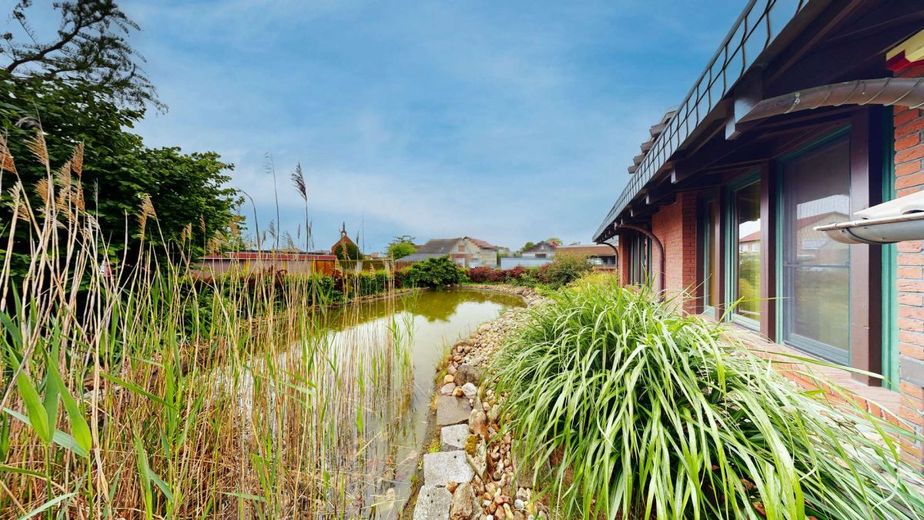 Einzigartige Architektenvilla am Waldrand bei Zerbst - ein Ort, wo Raum, Licht &amp; Natur verschmelzen – Sued Ansicht Teich