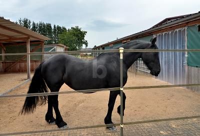 PFERDERANCH, REITANLAGE, TRAUMHAUS, SPITZENPREIS – 1728134514_251fb7.jpg