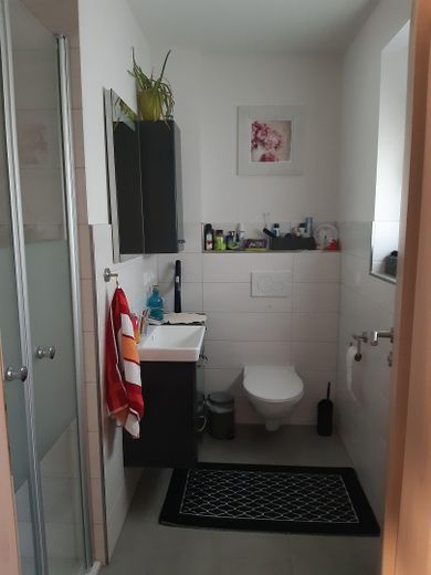 Gäste-WC mit Dusche