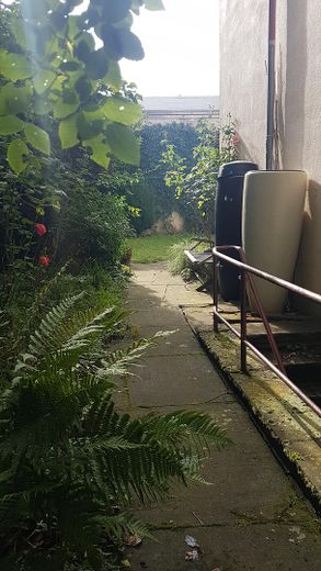 Doppelhaushälfte zentral, und doch im Grünen – Garten Südseite