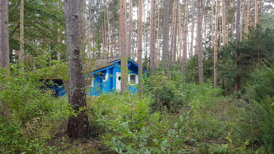 Deux maisons en rondins dans la forêt, location de vacances et habitation dans la réserve de biosphère de l’Elbtalaue – Eingang blaues Haus 