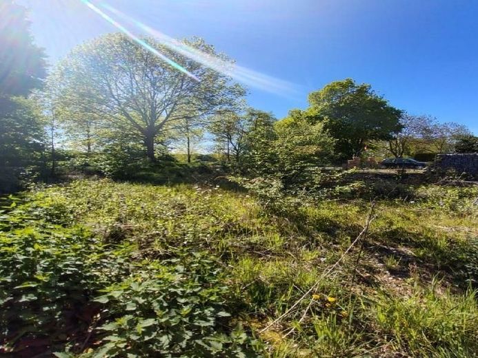 Baugrundstück in Willich Neersen naturhahe Lage an der Niers mit Potenzial – photo 2026-04-28 19-57-04