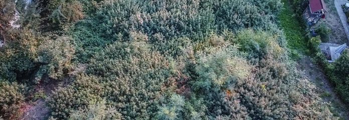 Terreno edificabile in posizione tranquilla alla periferia di Tettnang – Grundstück 1