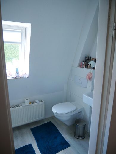 Haus für große Familien  und/oder Wohnen und Arbeiten unter einem Dach – Duschbad OG 