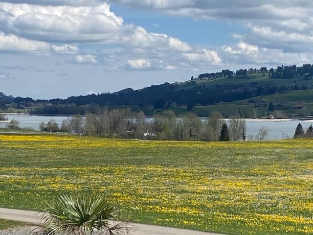 einzigartige Buero/Geschäftsräume im Allgäu bei Kempten, See- und Bergsicht und Business-Fengshui – Blick zum See 