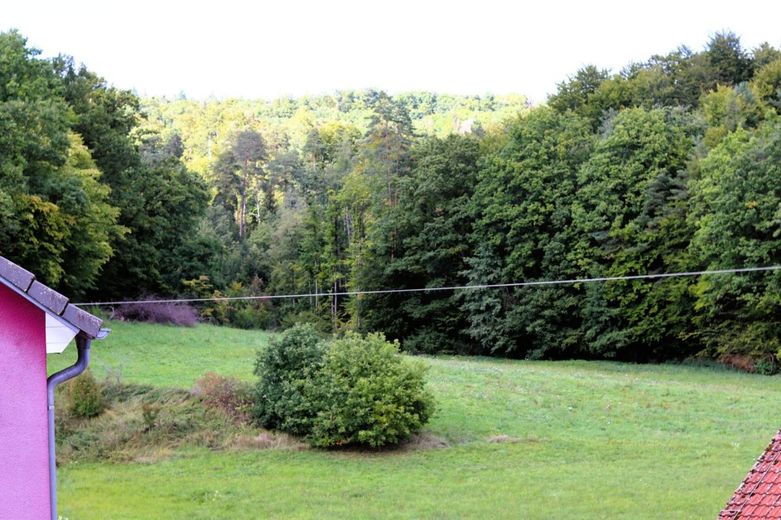 Preisknaller! Bauland und Handwerkerhaus - Stall, Scheune, Werkstatt, Garage bei Bamberg und Ebern – Ausblick aus dem Haupthaus - Straßenseite. Natur und Wald