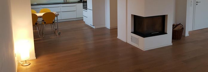 Wohn-Esszimmer mit Küche