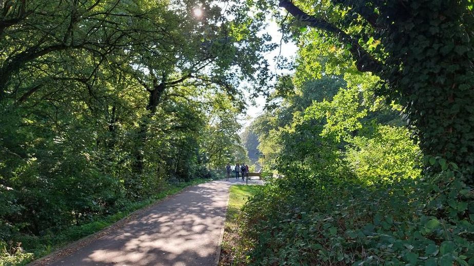 19-Umgebung - naechste 80 m 2