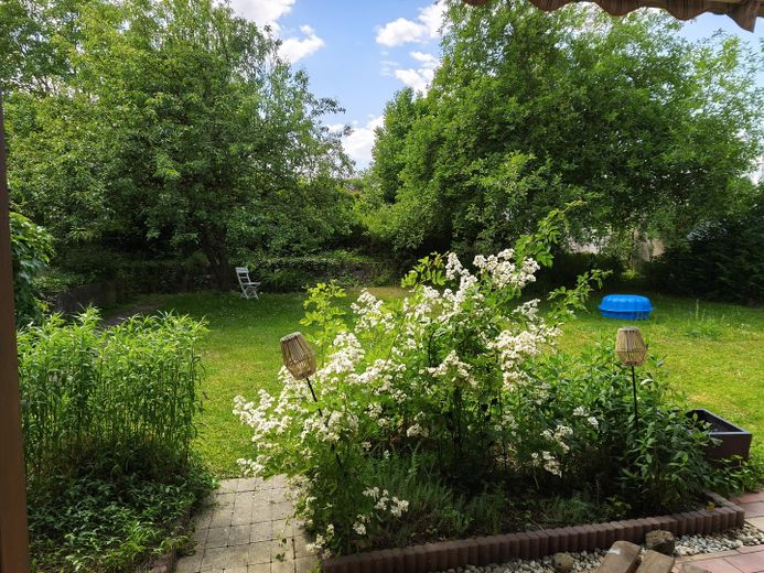 Provisionsfrei - Freistehendes Einfamilienhaus mit großem Garten nahe Stadtplatz und Innauen – Blick in den Garten