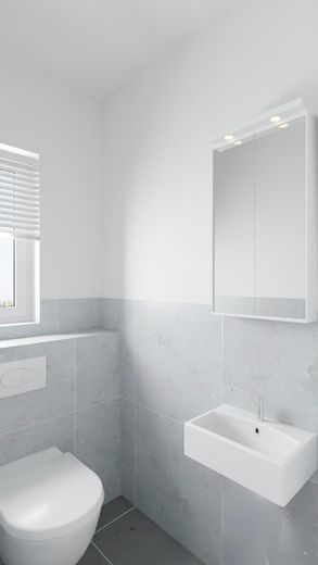 Visualisierung 1. DG Gäste-WC