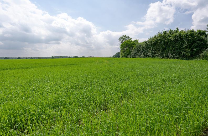 विशेष प्रकार का ग्रामीण मकान – फोटो 7