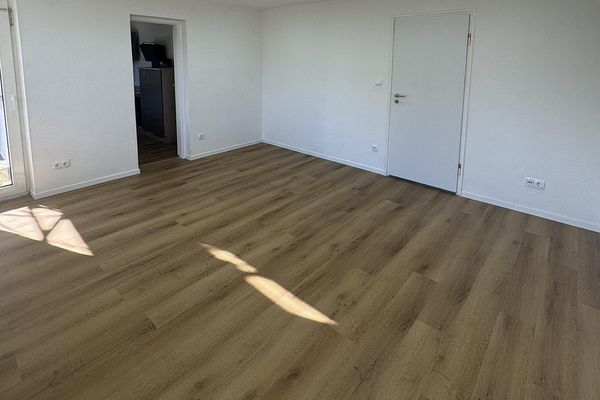 Prima occupazione dopo la ristrutturazione: luminoso appartamento di 2 locali con nuova cucina componibile