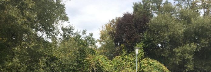 Links von der Dorfstrasse