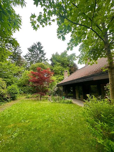 Garten und überdachte Terrasse