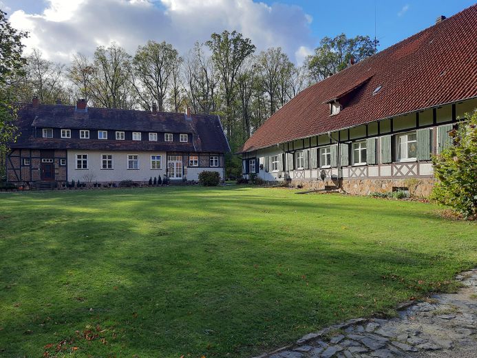 Spielplatz für Hunde