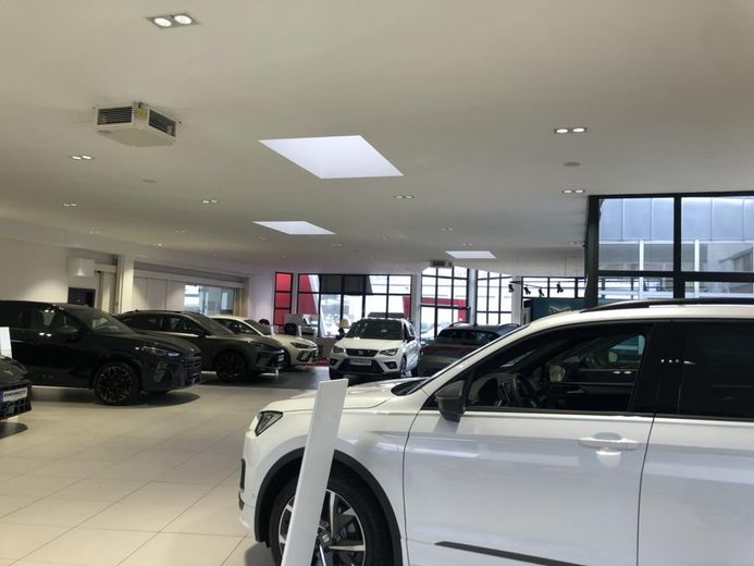 Showroom Neuwagen