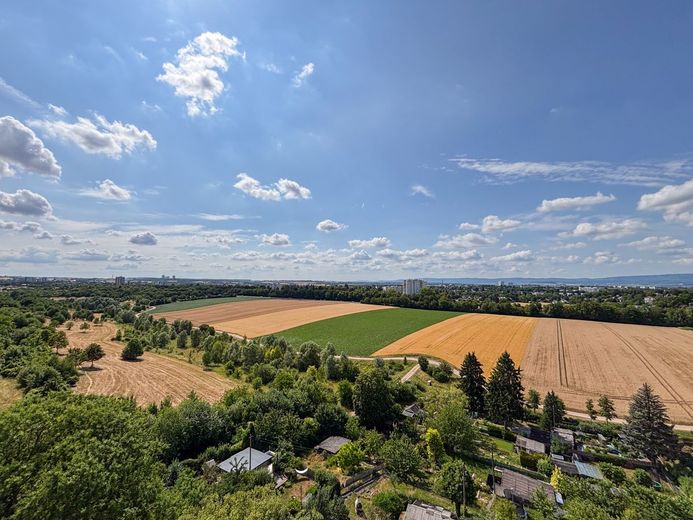 Lichtdurchflutetes Wohnen mit Weitblick: Großzügige 3,5 Zimmer-Wohnung mit Sonnenbalkon in Mainz – Ausblick