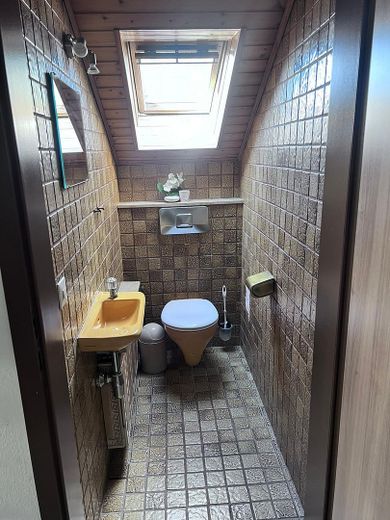 Жизнь в тихом районе частных домов в Неккартенцлингене – WC