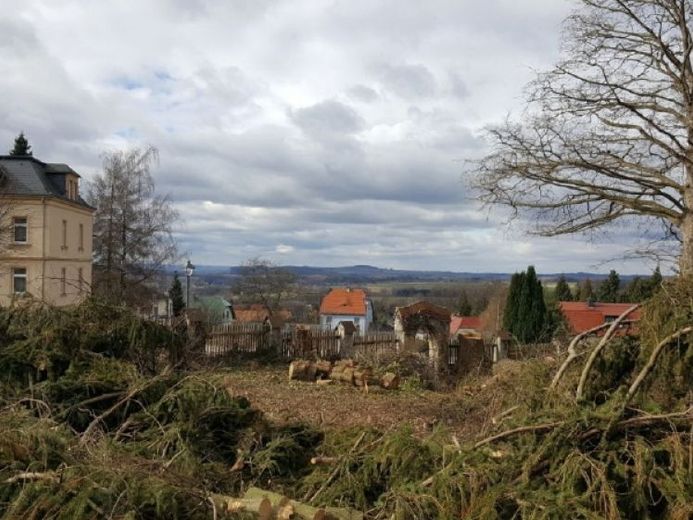 Parkanlage für 1-2 kleinere Mehrfamilienhäuser in 01833 Stolpen – Foto 1