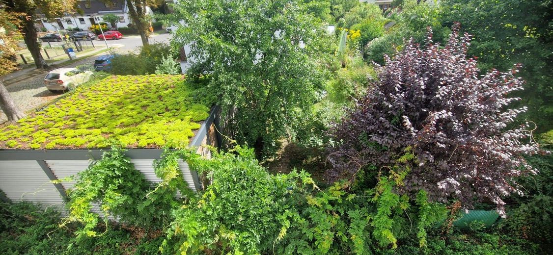 Lujoso apartamento de 2 habitaciones completamente renovado con balcón orientado al sur y vistas al jardín – Seitenblick vom Wohnzimmer