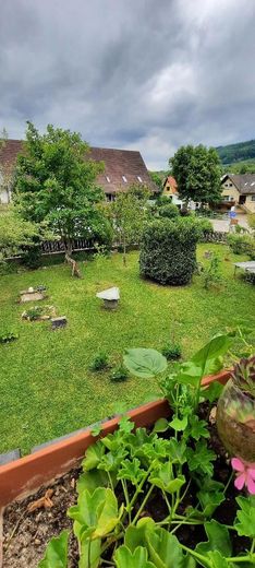 Garten, von der Verande gesehe