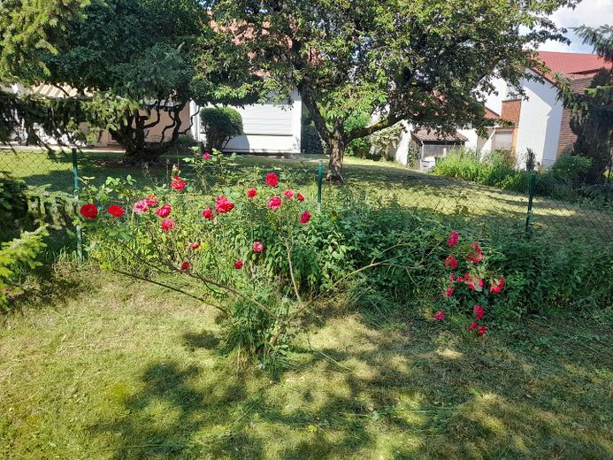 EFH in Toplage Komponistenviertel – Idyllischer Garten mit Sicht
