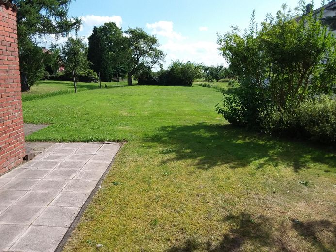 Blick in den Garten
