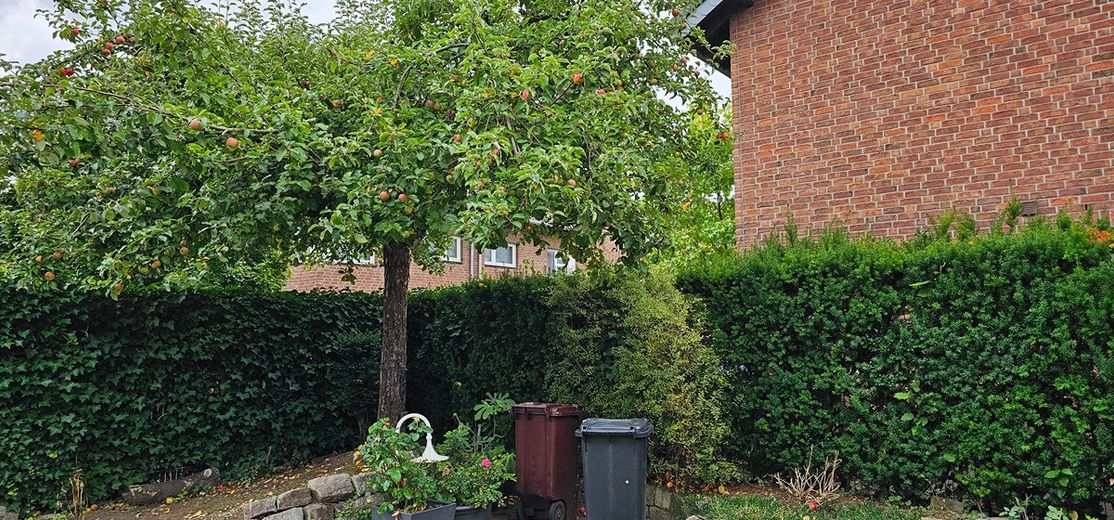 Hochwertig ausgestattetes Doppelhaushälfte-Eckhaus mit Garage, Garten und Wintergarten  in 41065 Mönchengladbach – Deutschland – NRW – Foto 24