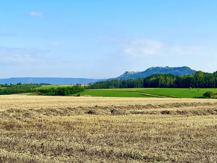 Umgebung, Blick zum Walberla