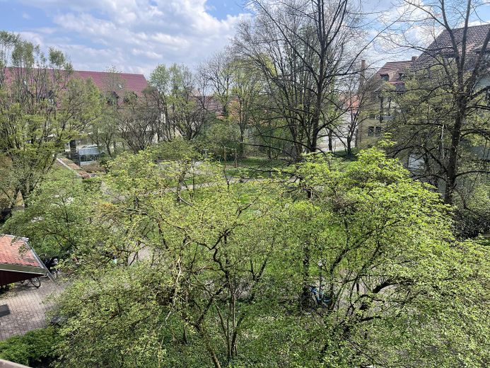 Renovierte 2-Zimmer-Wohnung mit neuem Bad, großem Südostbalkon & Aufzug – Foto 8