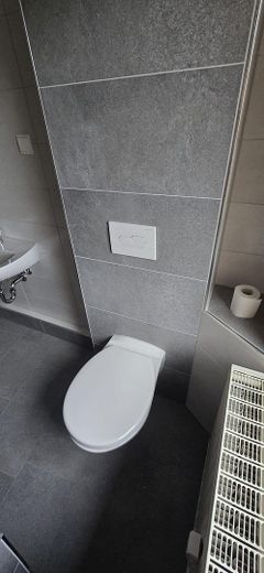 Top gerenoveerd 2-kamer zolderappartement op een locatie dicht bij het centrum – Bad