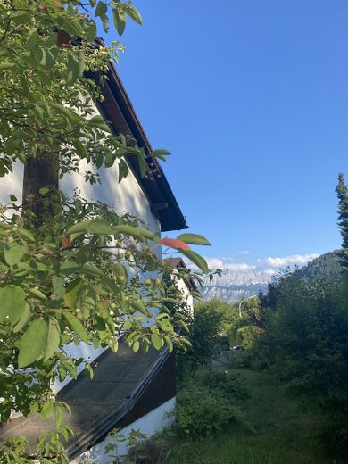 Bergblick