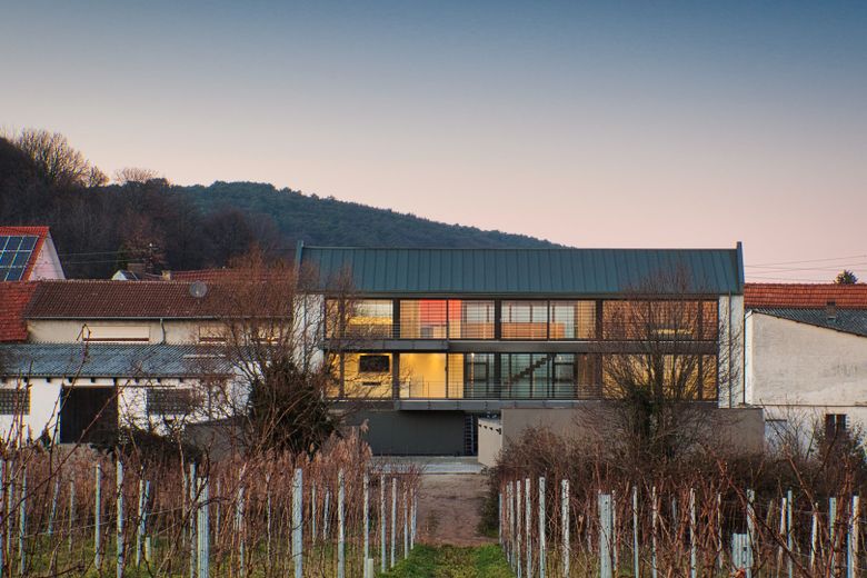 Architekten-Neubauvilla  in Weinbergsrandlage in Neustadt-Hambach – Foto 4