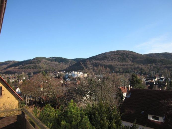 Fernblick über Bad Harzburg trifft Spa-Feeling: geöltes Parkett, Vollbad, Dampfsauna & 2 Balkone – Ausblick Südbalkon