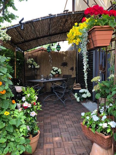 Schöne 2 Zimmer-Gartenwohnung in Ruhiger Lage – Freisitz