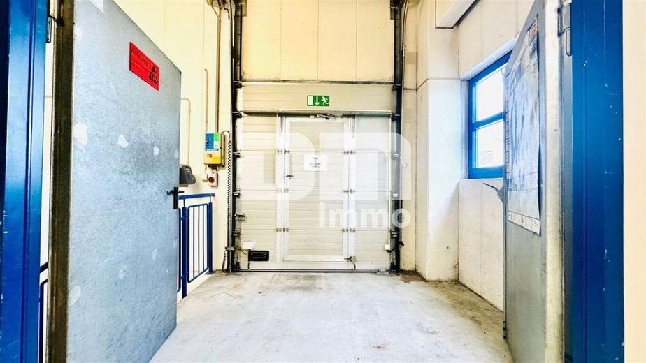 Vielseitiger Gewerbekomplex Halle + Büro / Freifläche - Top Infrastruktur direkt am A44 / A49 Kreuz – EG Haupthalle Zufahrt 2