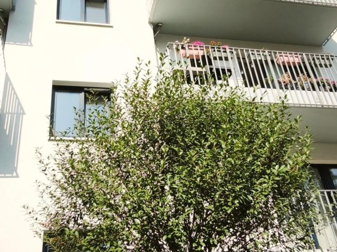 Schöne DG-Wohnung mit Balkon in zentrumsnaher Wohnlage! Neubau + hochwertige EBK + FuBo-Heizung + WANNE+BALKON + OFFENE KÜCHE – Foto 1