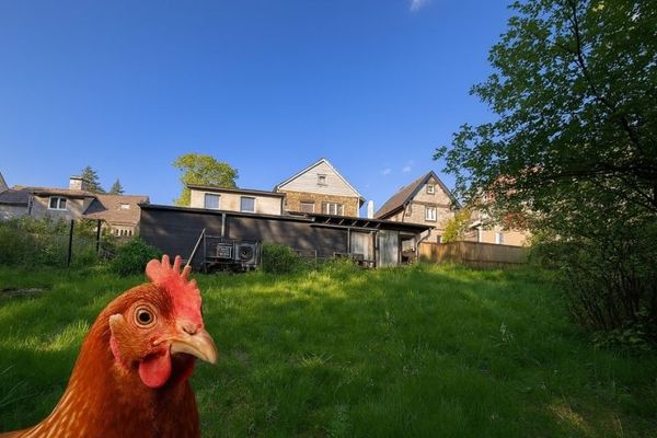 Idilliaca proprietà per l’allevamento di piccoli animali a Zell: ideale per i vostri amici a quattro zampe