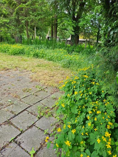Einzigartig und traumhaft: ca. 600 qm Freizeitgrundstück in Karlsfeld, kein Bauland !!! – Foto 41