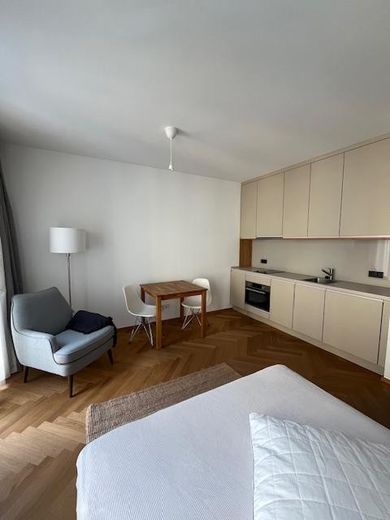 TOPLAGE Innenstadt - Exklusives 1 Zimmer Apartement möbliert mit Einbauküche – Wohnraum mit Einbauküche