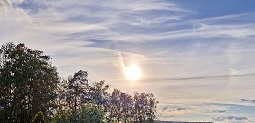 Fernblick